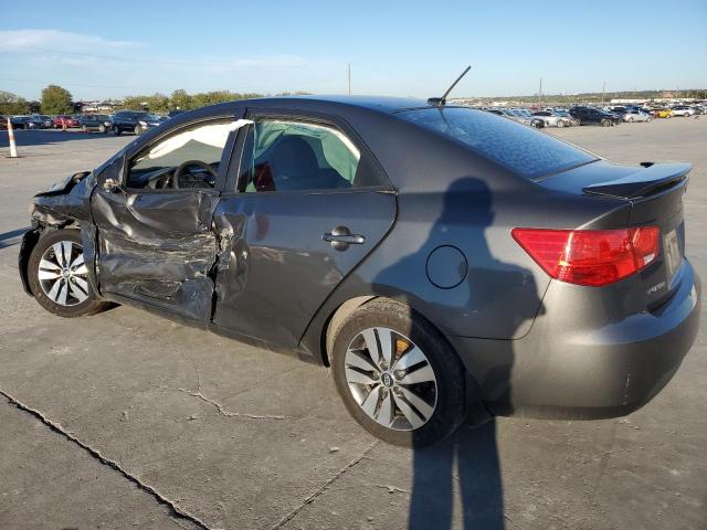 KNAFU4A20D5698685 - 2013 KIA FORTE EX GRAY photo 2