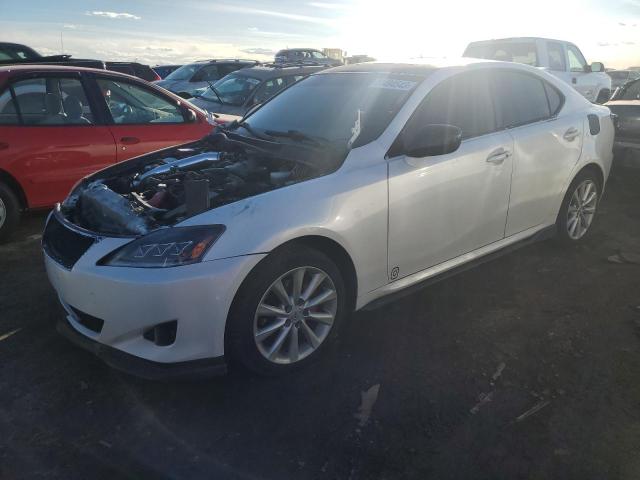 JTHCK262182025841 - 2008 LEXUS IS 250 WHITE photo 1