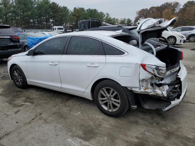 5NPE24AF8GH287336 - 2016 HYUNDAI SONATA SE WHITE photo 2