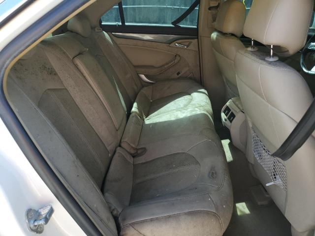 1G6DK5EY7B0168084 - 2011 CADILLAC CTS PERFORMANCE COLLECTION Кремовий фото 10