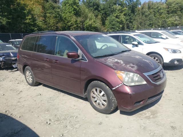 5FNRL38668B004477 - 2008 HONDA ODYSSEY EXL BURGUNDY photo 4