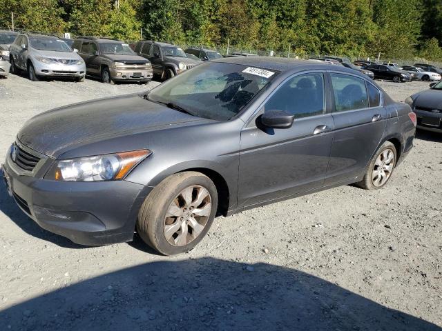 2009 HONDA ACCORD EX, 