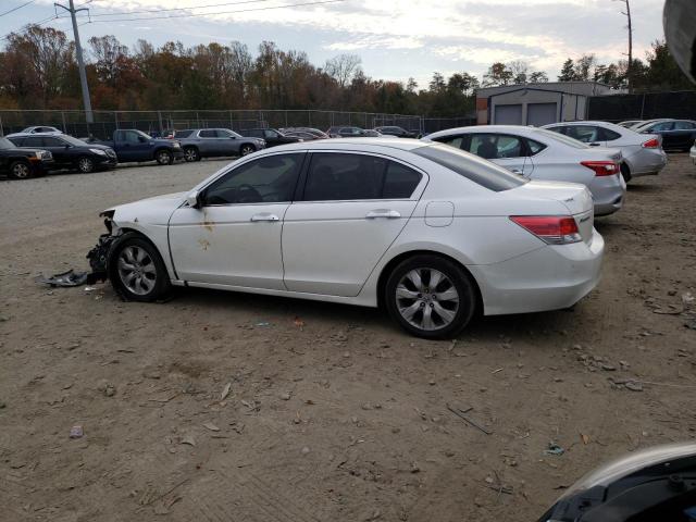 5KBCP3F83AB012994 - 2010 HONDA ACCORD EXL WHITE photo 2