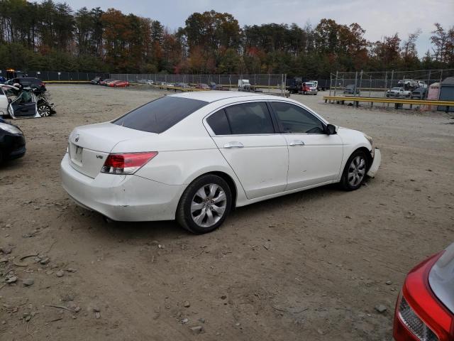 5KBCP3F83AB012994 - 2010 HONDA ACCORD EXL WHITE photo 3