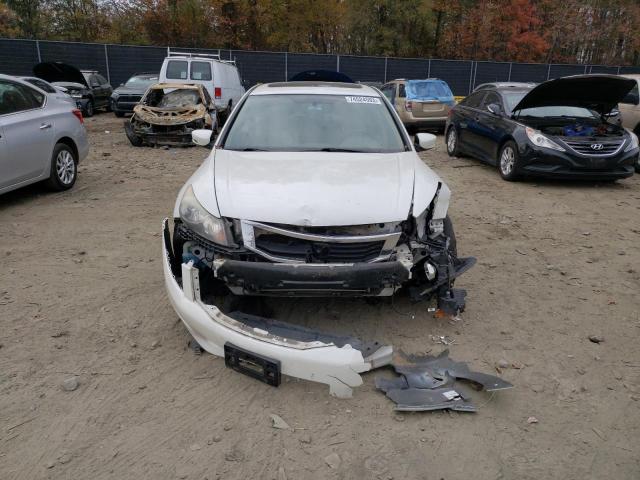 5KBCP3F83AB012994 - 2010 HONDA ACCORD EXL WHITE photo 5