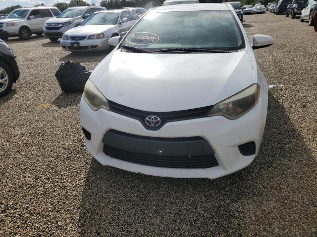 2T1BURHE6EC022728 - 2014 TOYOTA COROLLA L WHITE photo 5