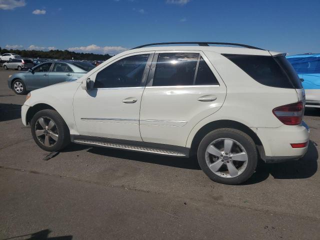 4JGBB8GB8AA603682 - 2010 MERCEDES-BENZ ML 350 4MATIC WHITE photo 2