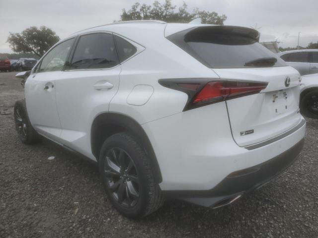JTJSARBZ7M5021875 - 2021 LEXUS NX 300 BASE Ağ foto 2