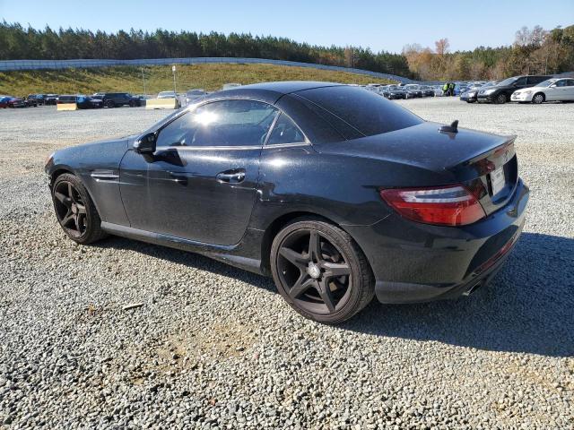 WDDPK4HA8DF057570 - 2013 MERCEDES-BENZ SLK 250 BLACK photo 2