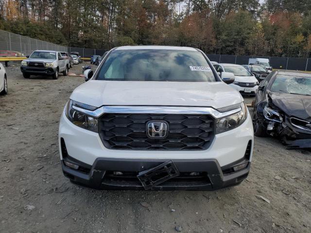 5FNYF8H59PB014121 - 2023 HONDA PASSPORT EXL Ağ foto 5