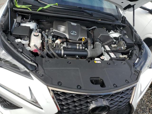 JTJSARDZXM2237475 - 2021 LEXUS NX 300 BASE 白色 照片 12