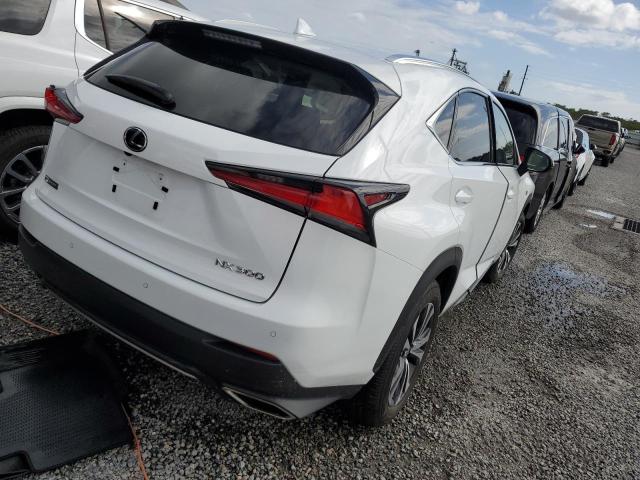 JTJSARDZXM2237475 - 2021 LEXUS NX 300 BASE 白色 照片 3