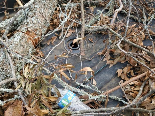 3C6UR5JL8EG306953 - 2014 RAM 2500 SLT GRAY photo 12