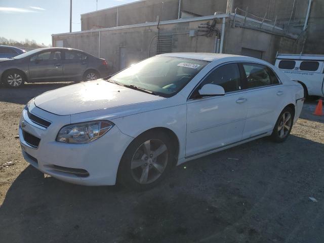 1G1ZC5EU9BF321079 - 2011 CHEVROLET MALIBU 1LT WHITE photo 1