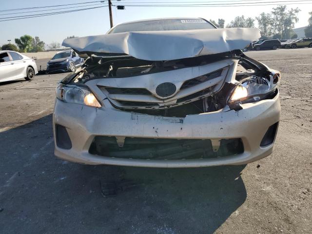 2T1BU4EE6BC653661 - 2011 TOYOTA COROLLA LE BASE CREAM photo 5
