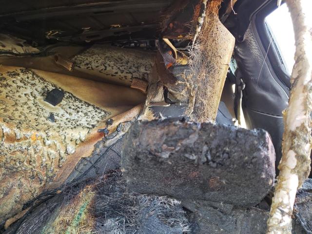 2C4RC1BG4PR553734 - 2023 CHRYSLER PACIFICA TOURING L 灰色 照片 10