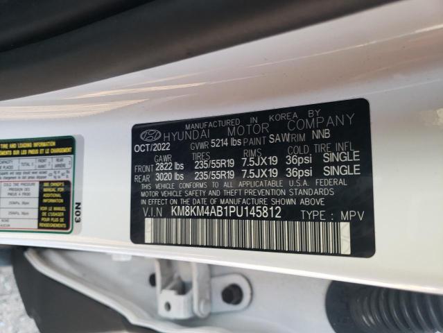 KM8KM4AB1PU145812 - 2023 HYUNDAI IONIQ 5 SE WHITE photo 12