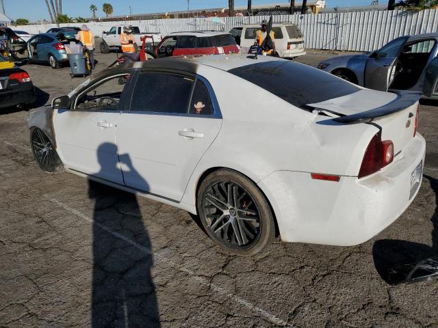 1G1ZC5E10BF388885 - 2011 CHEVROLET MALIBU 1LT 白色 照片 2