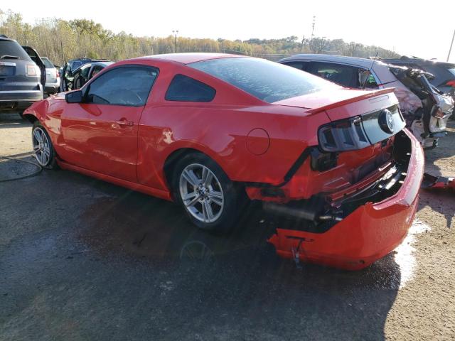 1ZVBP8AM7E5258740 - 2014 FORD MUSTANG RED photo 2