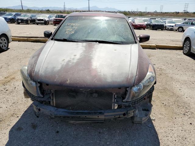 1HGCP3F81BA021798 - 2011 HONDA ACCORD EXL BURGUNDY photo 5