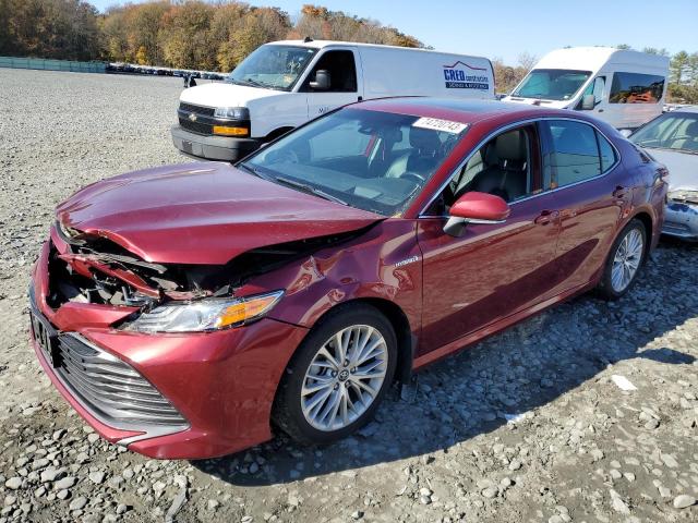 4T1B21HK1KU512257 - 2019 TOYOTA CAMRY HYBRID BURGUNDY photo 1