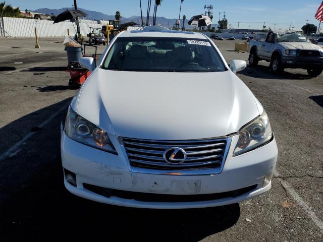 JTHBK1EG1A2407635 - 2010 LEXUS ES 350 WHITE photo 5