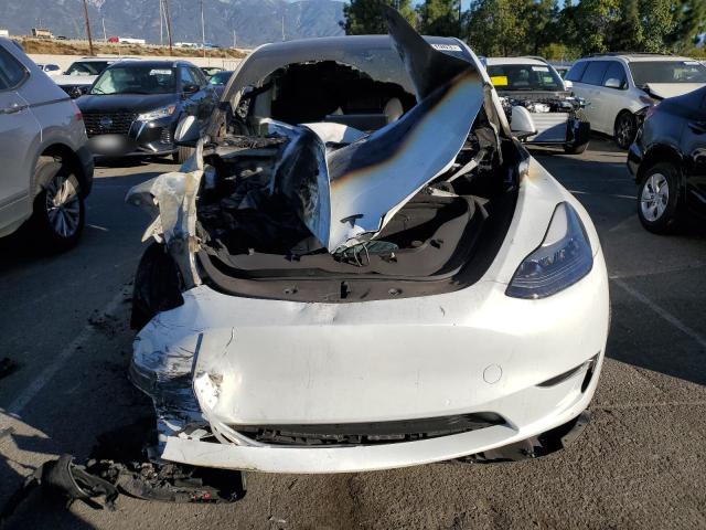 7SAYGDEE1NF561748 - 2022 TESLA MODEL Y WHITE photo 5