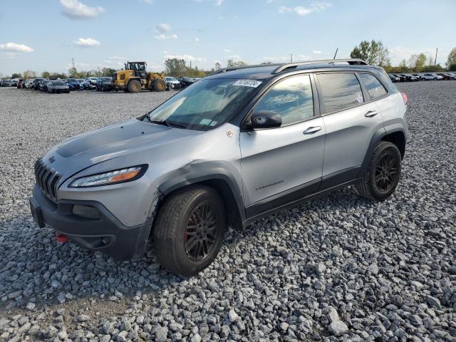1C4PJMBB8EW109666 - 2014 JEEP CHEROKEE TRAILHAWK SILVER photo 1