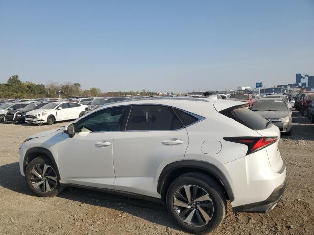 JTJBARBZXK2182705 - 2019 LEXUS NX 300 BASE Ağ foto 2