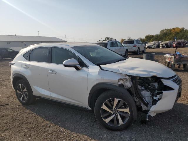 JTJBARBZXK2182705 - 2019 LEXUS NX 300 BASE Ağ foto 4