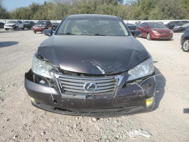 JTHBK1EG7A2353113 - 2010 LEXUS ES 350 GRAY photo 5