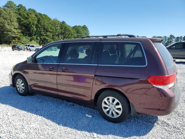 5FNRL38758B045188 - 2008 HONDA ODYSSEY EXL BURGUNDY photo 2