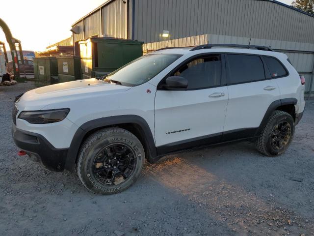 1C4PJMBXXKD227236 - 2019 JEEP CHEROKEE TRAILHAWK Ağ foto 1