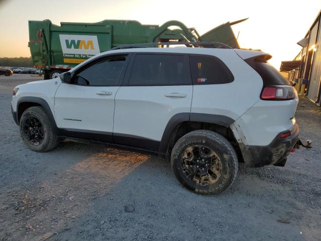 1C4PJMBXXKD227236 - 2019 JEEP CHEROKEE TRAILHAWK Ağ foto 2