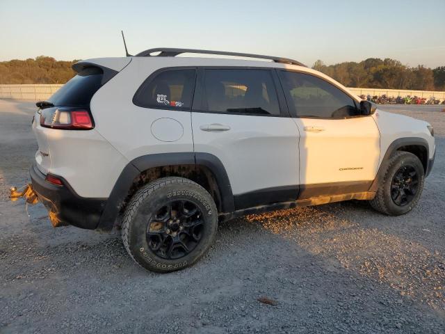 1C4PJMBXXKD227236 - 2019 JEEP CHEROKEE TRAILHAWK Ağ foto 3