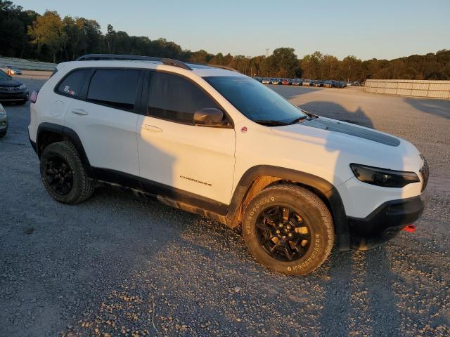 1C4PJMBXXKD227236 - 2019 JEEP CHEROKEE TRAILHAWK Ağ foto 4