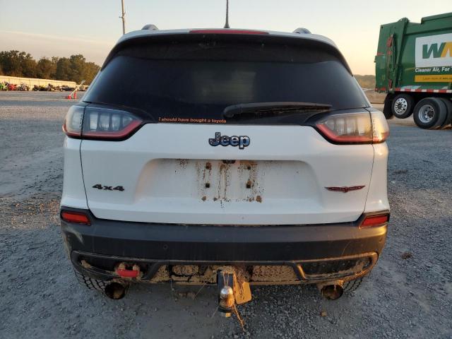 1C4PJMBXXKD227236 - 2019 JEEP CHEROKEE TRAILHAWK Ağ foto 6