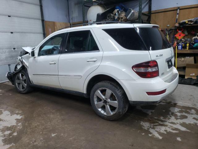 4JGBB8GB8BA712435 - 2011 MERCEDES-BENZ ML 350 4MATIC WHITE photo 2
