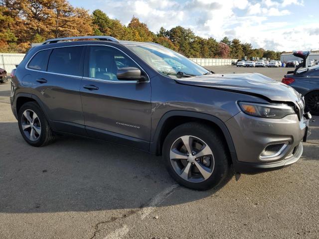 1C4PJMDX3KD140159 - 2019 JEEP CHEROKEE LIMITED GRAY photo 4