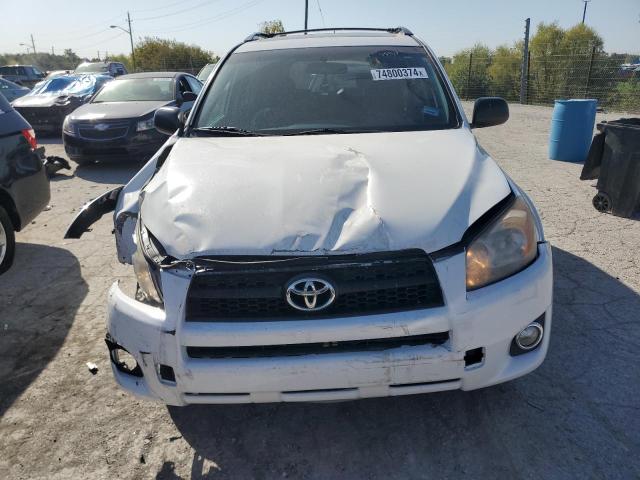 2T3RF4DV5AW081402 - 2010 TOYOTA RAV4 SPORT WHITE photo 5