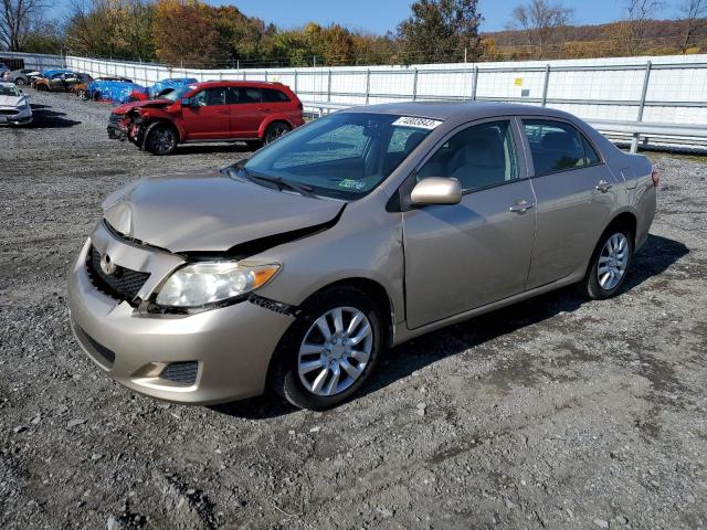 2T1BU4EE0AC354732 - 2010 TOYOTA COROLLA BASE TAN photo 1