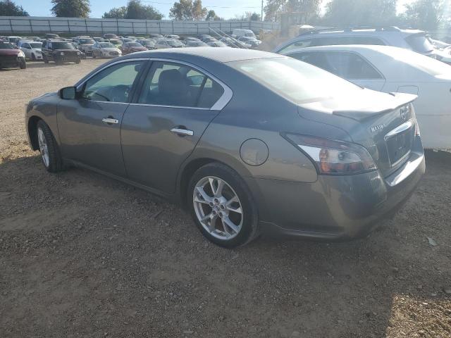 1N4AA5AP5EC483099 - 2014 NISSAN MAXIMA S GRAY photo 2