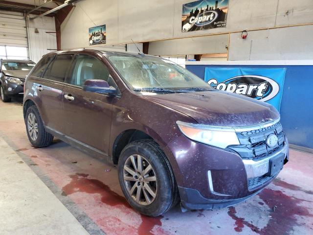 2FMDK3JC6BBB05709 - 2011 FORD EDGE SEL PURPLE photo 4