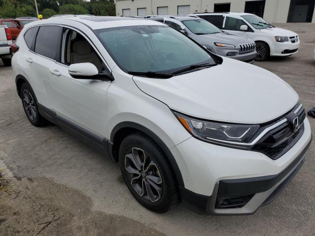 2HKRW1H57LH420938 - 2020 HONDA CR-V EX WHITE photo 4