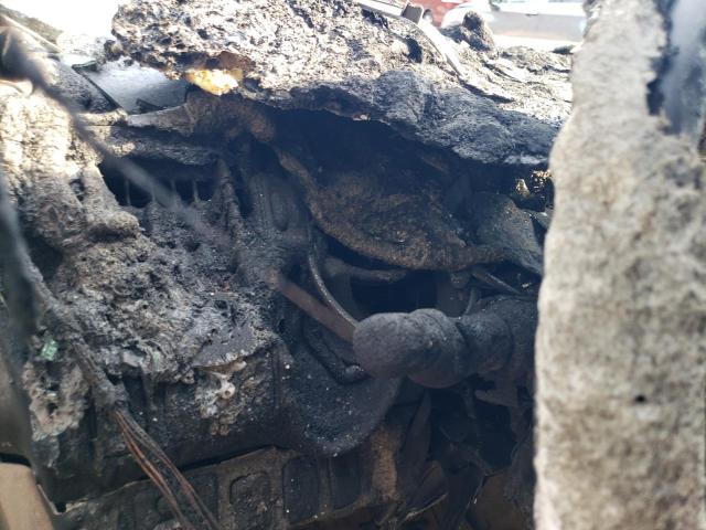 5TETX22N96Z256210 - 2006 TOYOTA TACOMA ACCESS CAB ბეჟი ფოტო 9