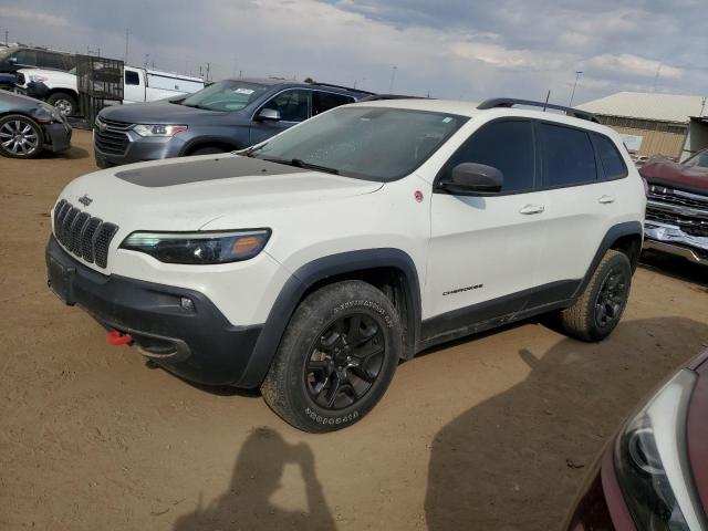 1C4PJMBX5KD471487 - 2019 JEEP CHEROKEE TRAILHAWK Ağ foto 1