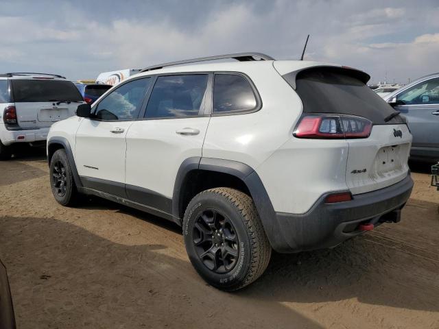 1C4PJMBX5KD471487 - 2019 JEEP CHEROKEE TRAILHAWK Ağ foto 2