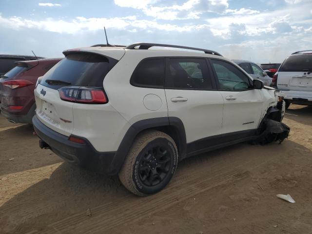1C4PJMBX5KD471487 - 2019 JEEP CHEROKEE TRAILHAWK Ağ foto 3