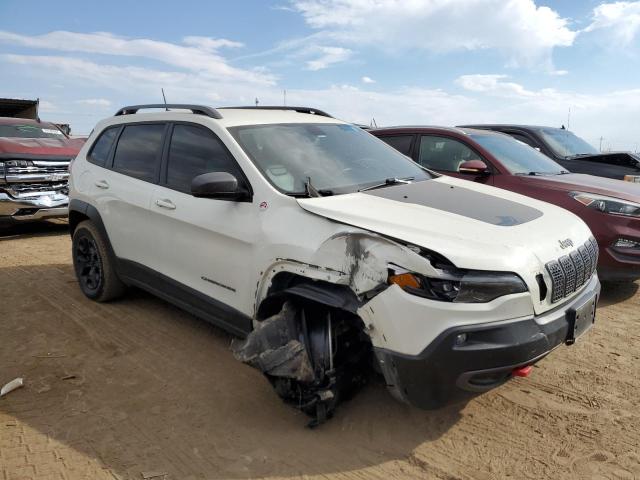 1C4PJMBX5KD471487 - 2019 JEEP CHEROKEE TRAILHAWK Ağ foto 4