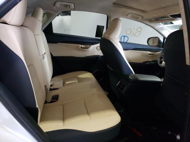 JTJGARBZ6M5021226 - 2021 LEXUS NX 300 BASE 白色 照片 11